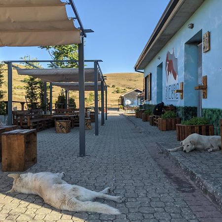 Rifugio Silone Hostel Pescina Εξωτερικό φωτογραφία
