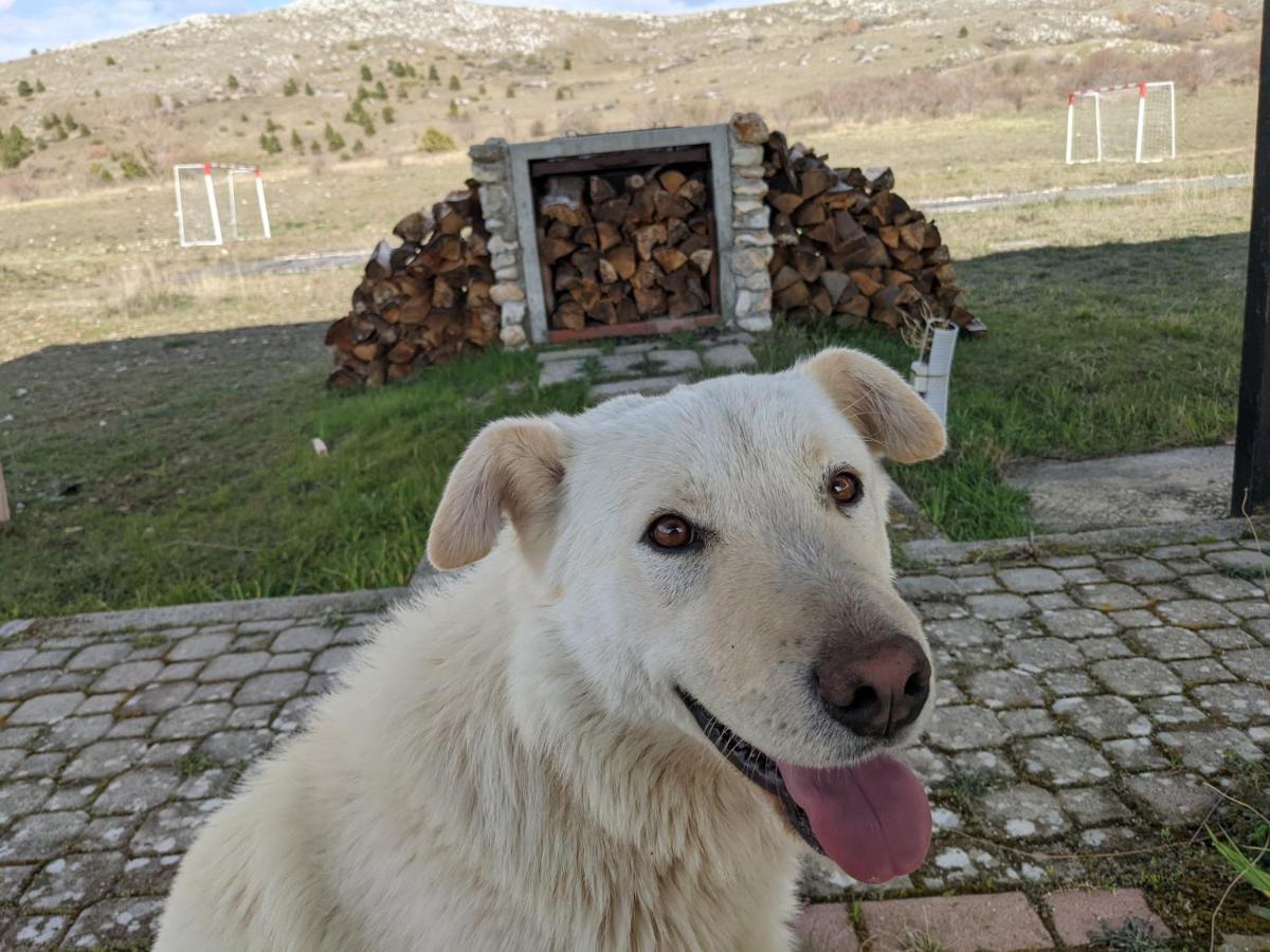 Rifugio Silone Hostel Pescina Εξωτερικό φωτογραφία